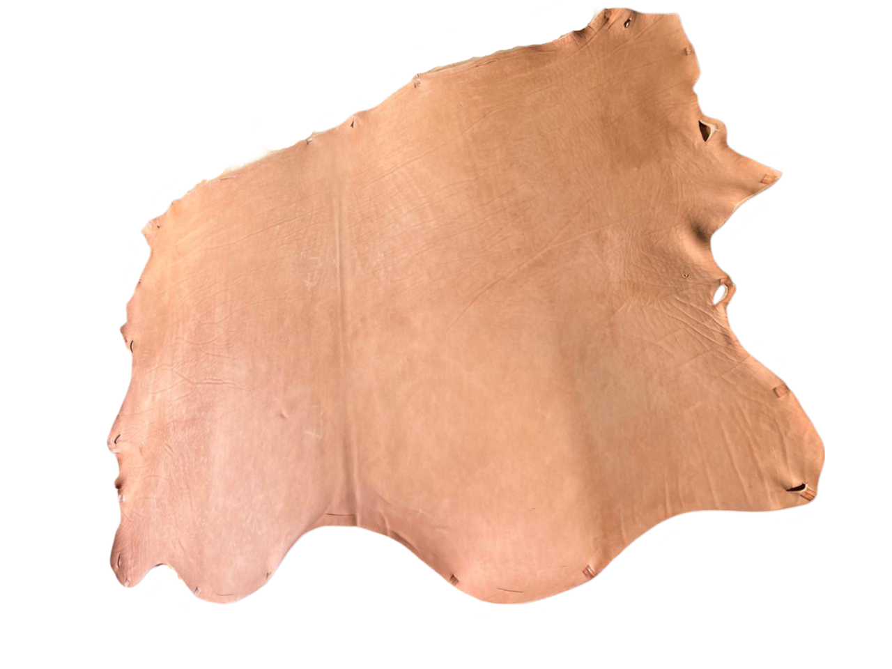 Color Double Culatta Skirting Leather 13-15 oz