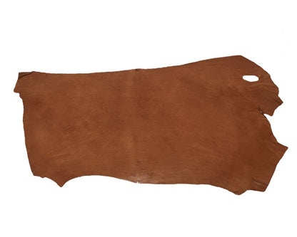 Double Shoulder