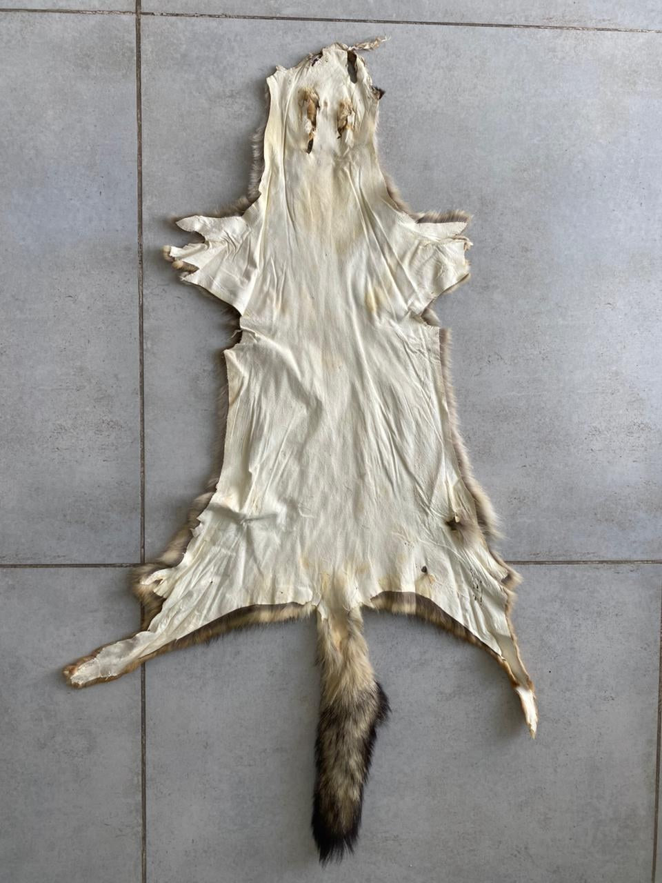 Leather side of a chrome tanned fox pelt