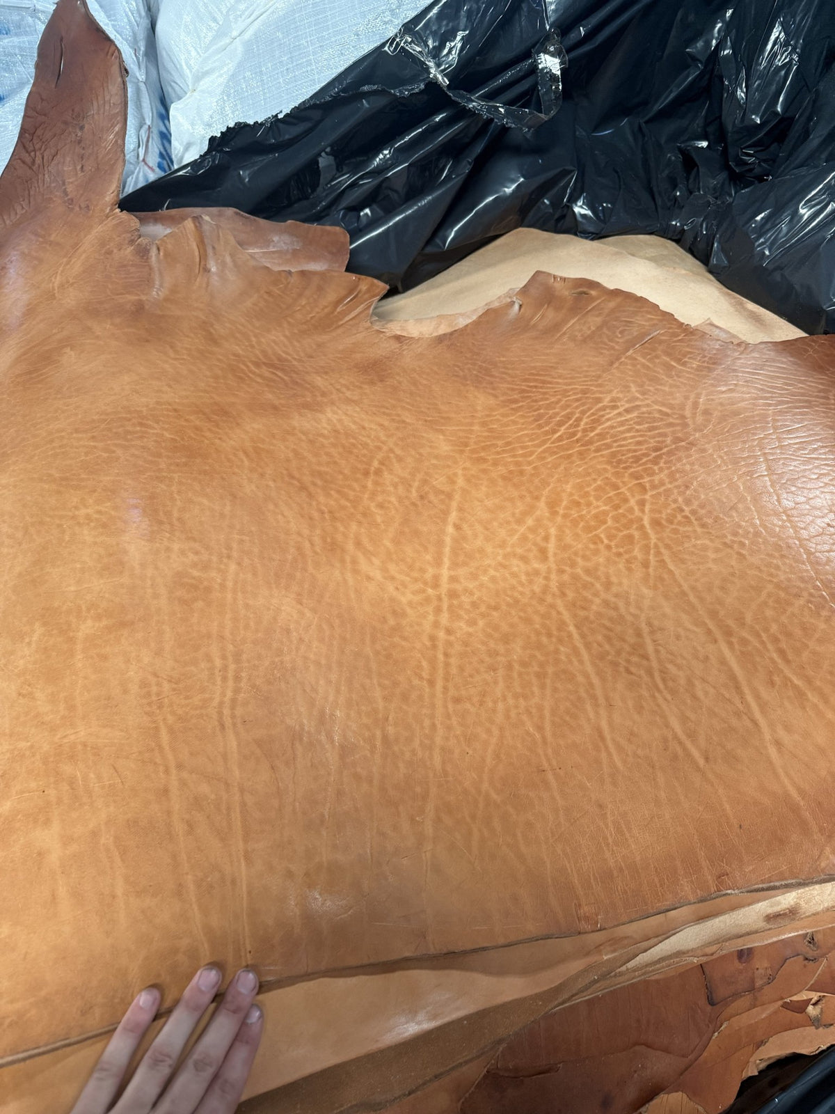 Grain character of a lightly oiled natural skirting bull side