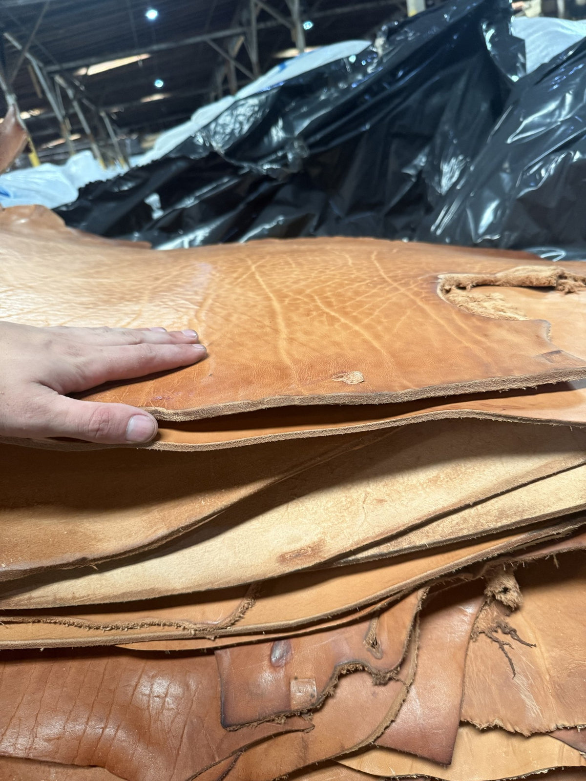 Thickness of natural skirting bull sides, held by hand