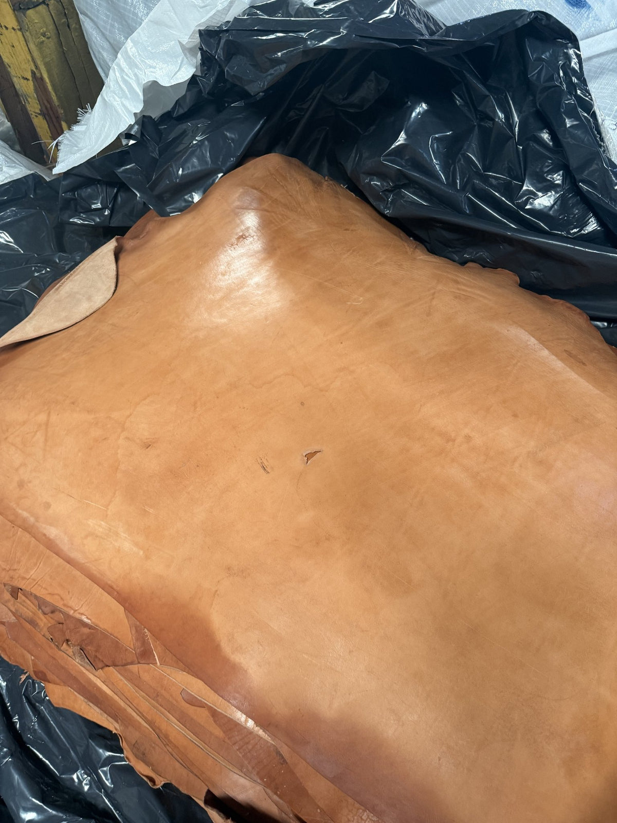 Grain side of a natural skirting bull side with natural marks
