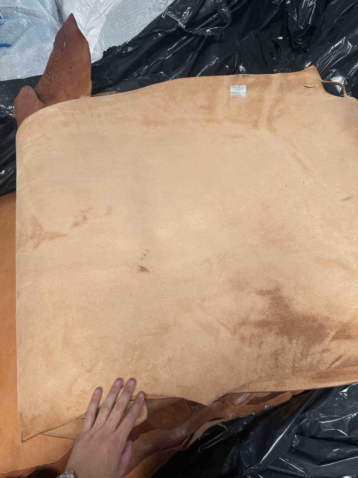 Flesh side of a natural skirting bull side
