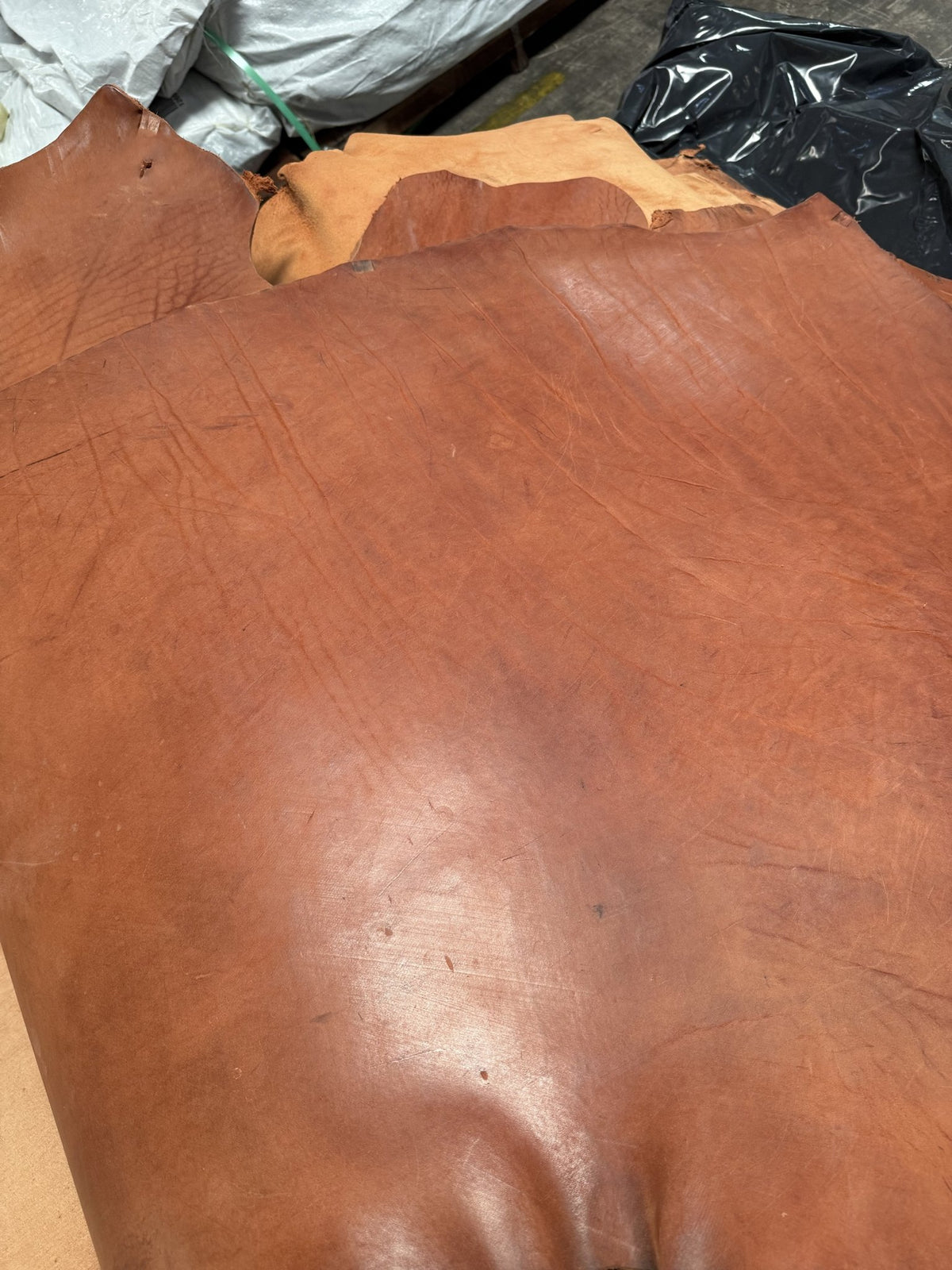 Grain side of a rose skirting bull side with natural scratches