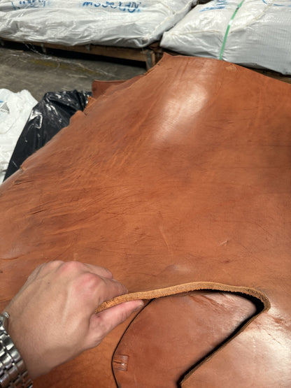 Rose skirting bull side, grain and edge