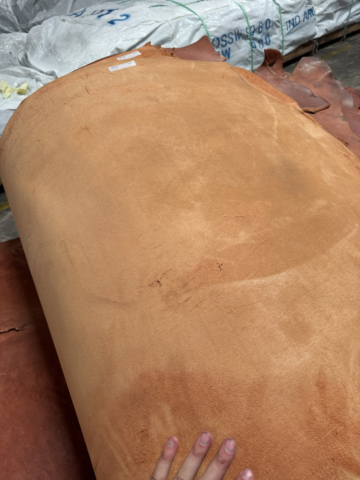 Flesh side of a rose skirting bull side