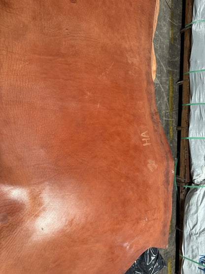 Natural marks and brand on a rose skirting bull side