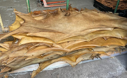 Rawhide