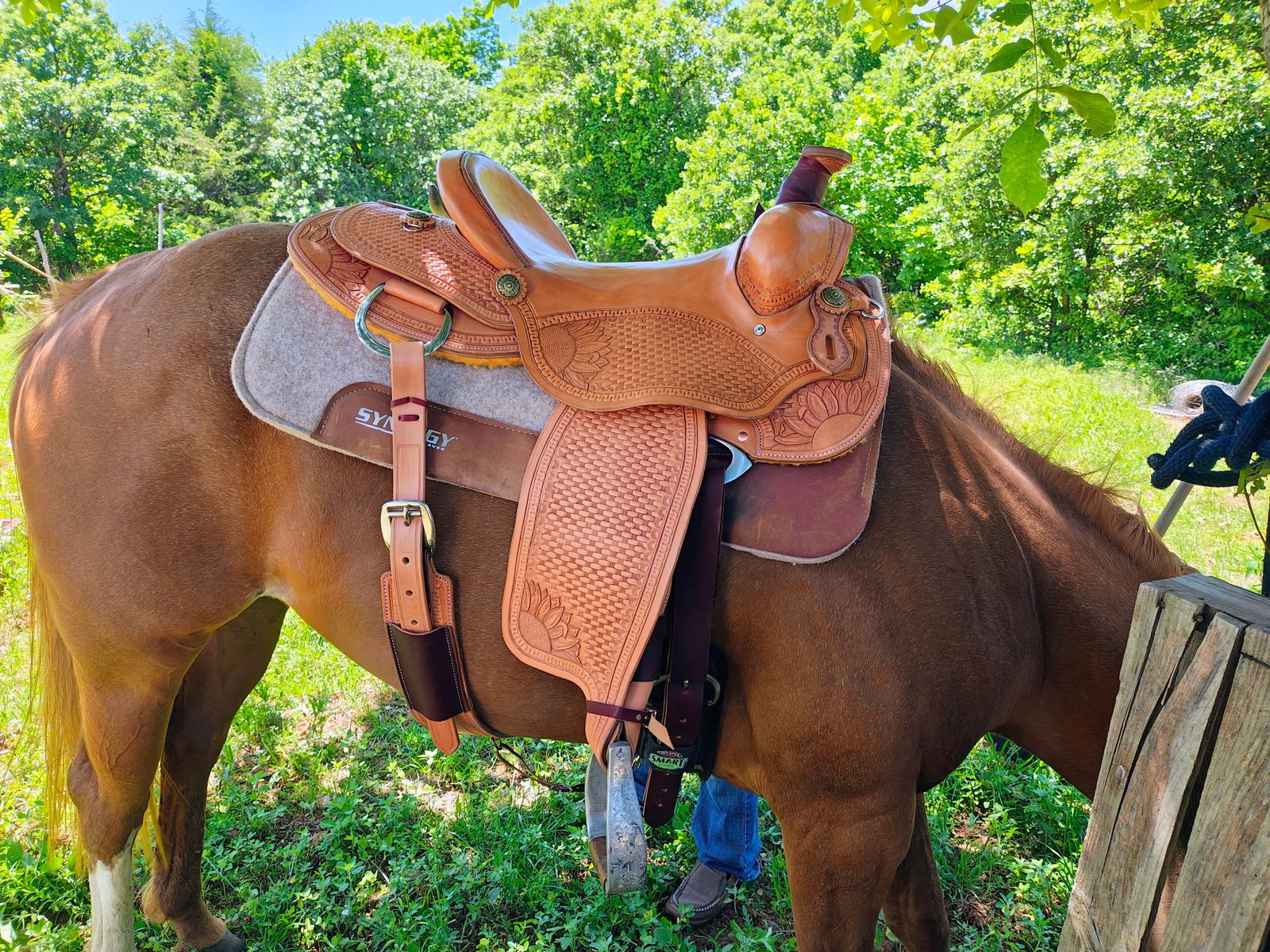 Tooled saddle built by Michael with our leather, on a horse outdoors